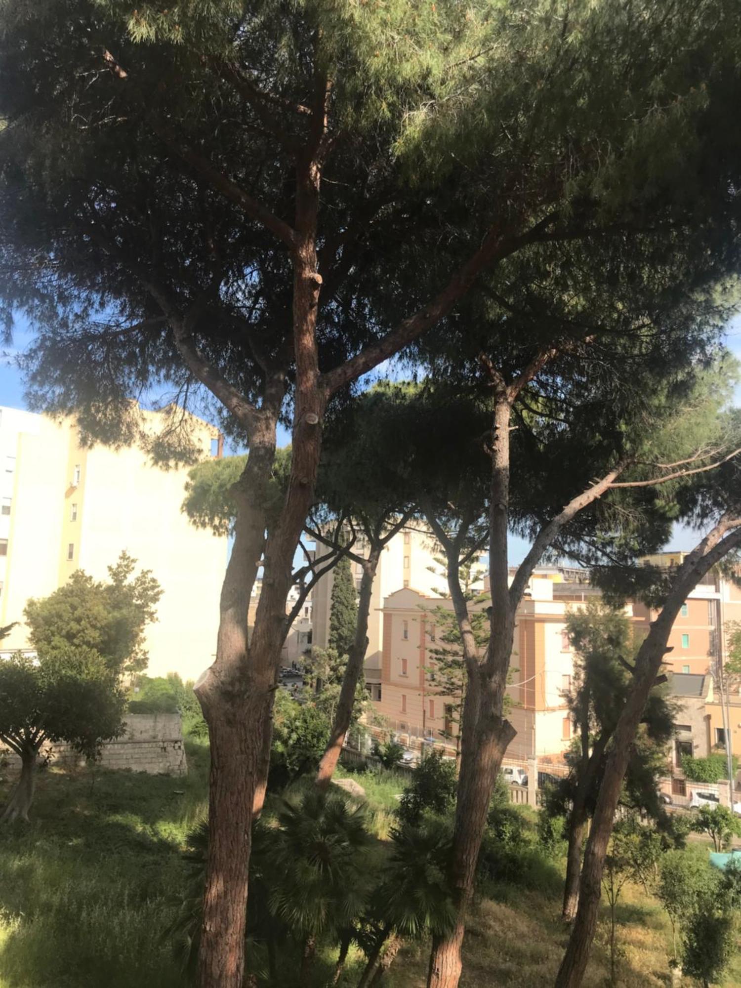 Villa San Giuseppe 브린디시 외부 사진